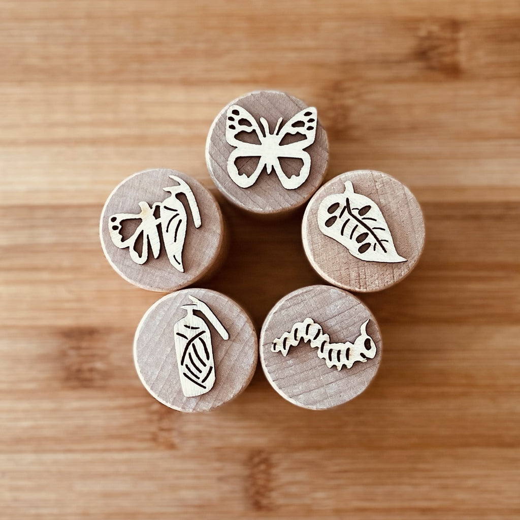 Butterfly Lifecycle - Wooden Stamps - Lex and Fox