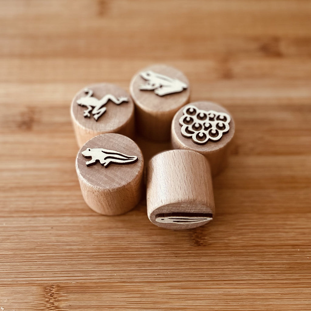 Frog Lifecycle - Wooden Stamps - Lex and Fox