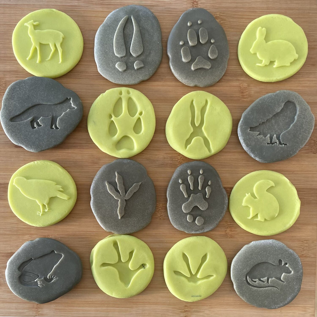 Woodland Footprints - Exploration Stones - Lex and Fox